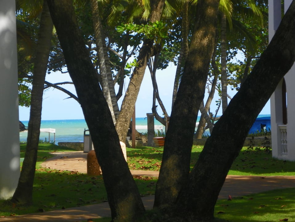 XI.2016 Marien Puerto Plata