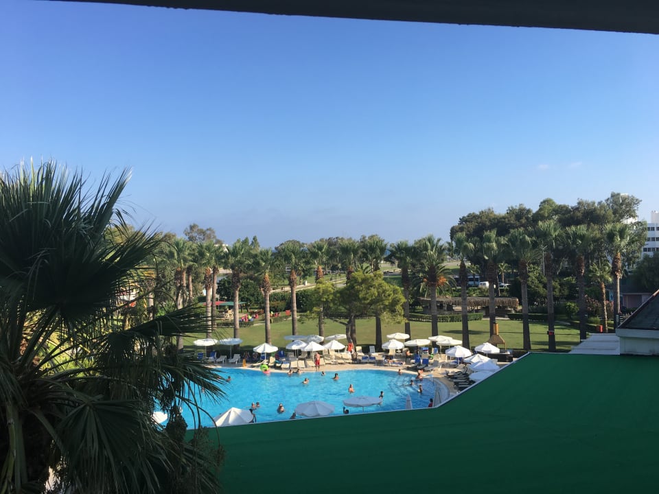 Pool Asteria Collection Side