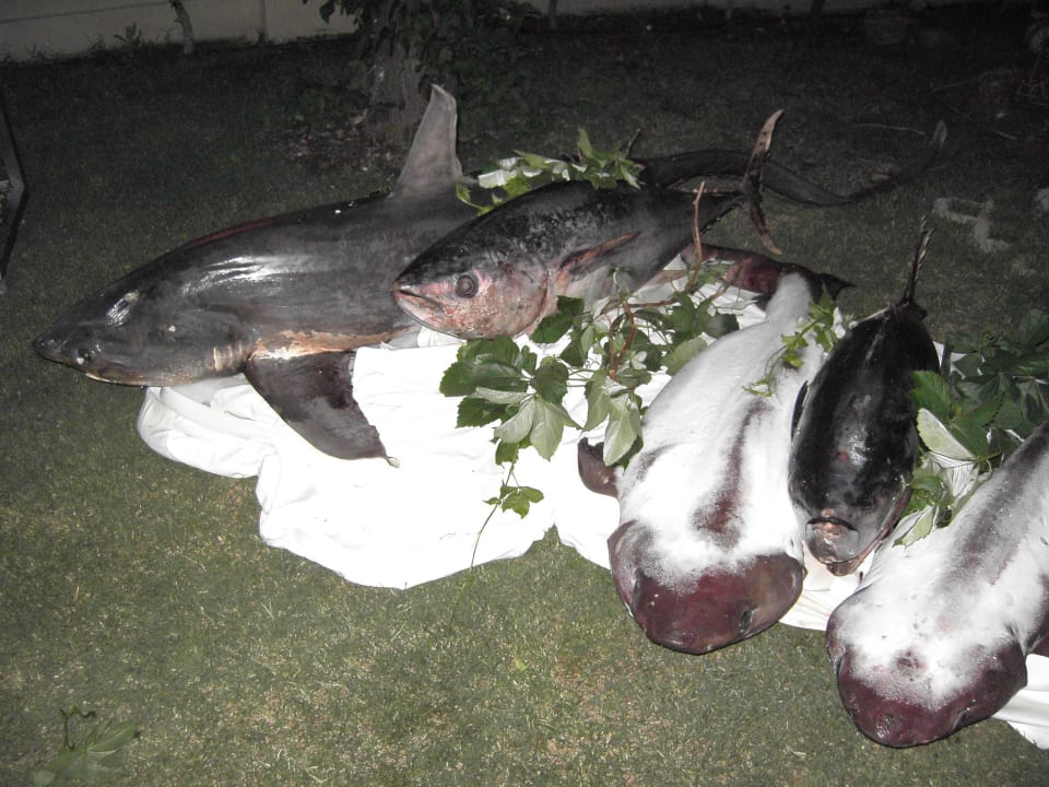 Türkische Nacht Adalya Ocean Deluxe