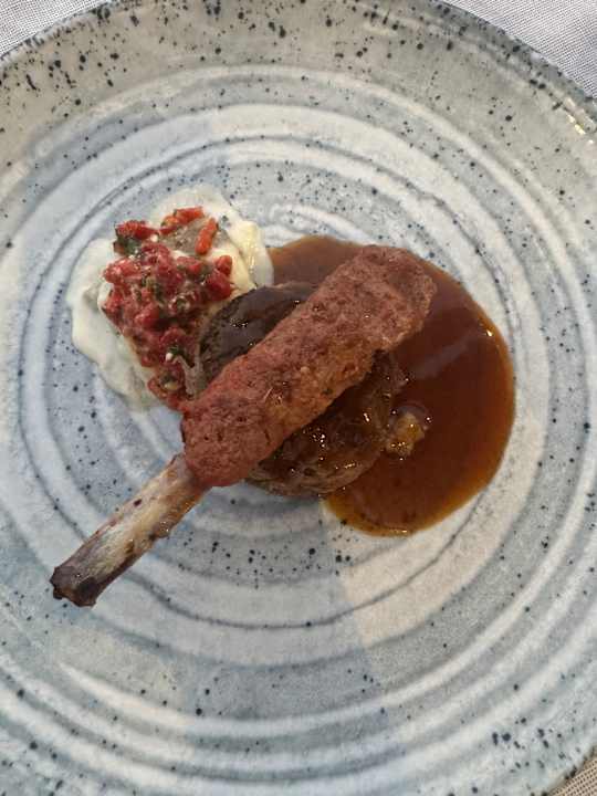 Gastro Paloma Finesse