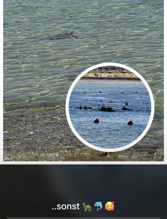 Strand Steigenberger Coraya Beach - Adults only