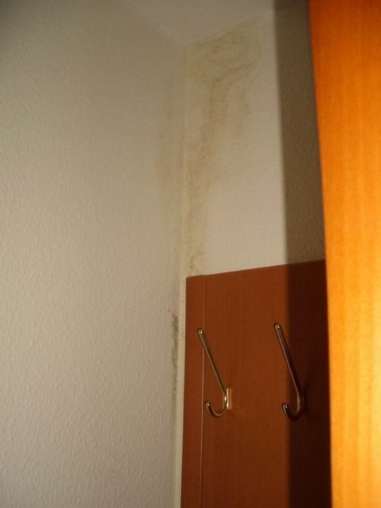 Schimmel an der Ecke der Wand 2 Hotel Butjadinger Hof