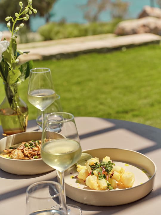 Gastro Anda Barut Collection