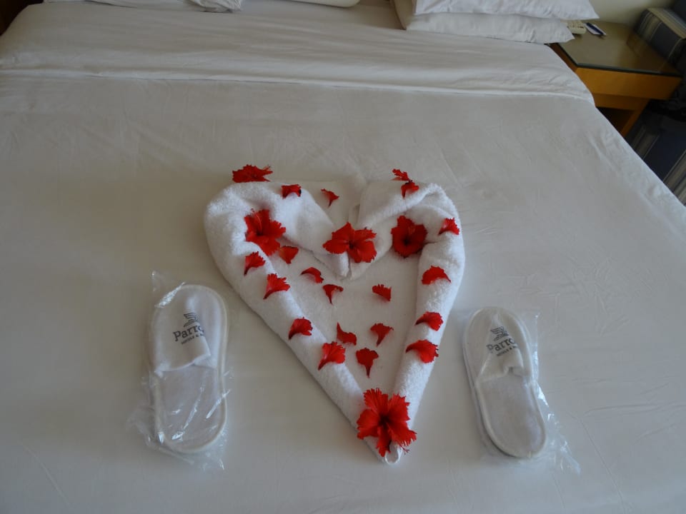 Zimmer Parrotel Beach Resort