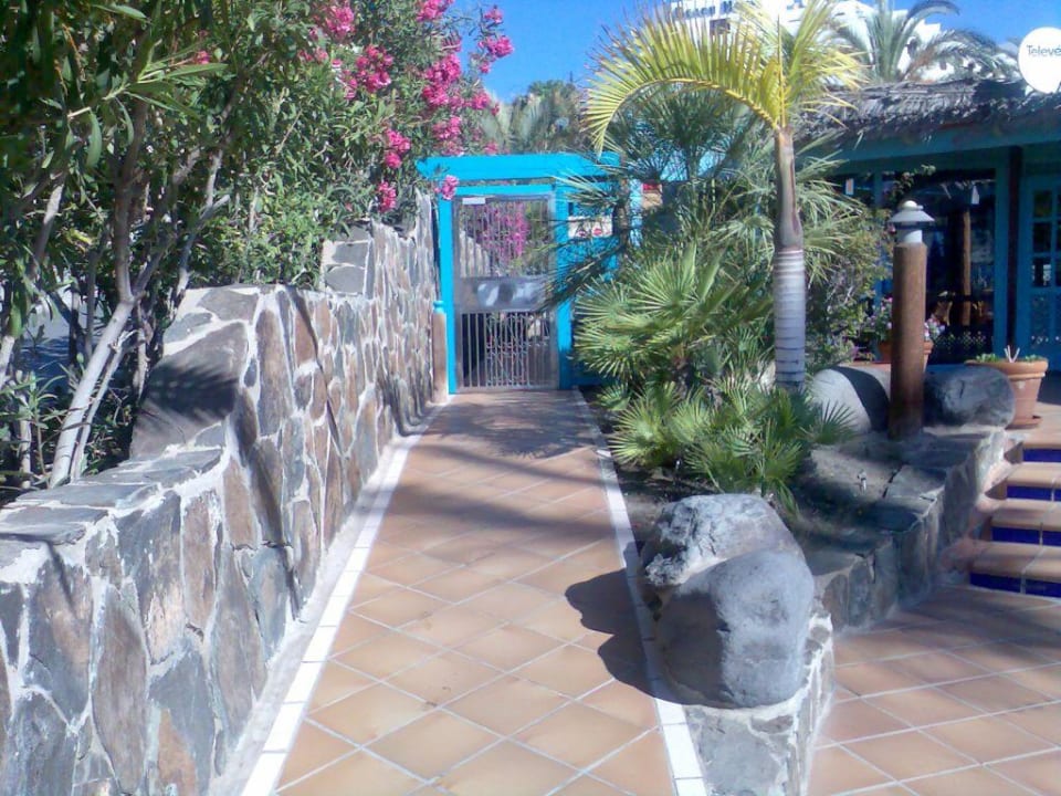 Hintereingang Corallium Beach by Lopesan Hotels - Adults only