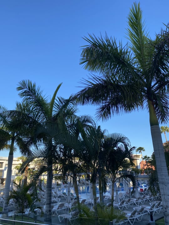 Ausblick Hotel Riu Arecas - Adults only
