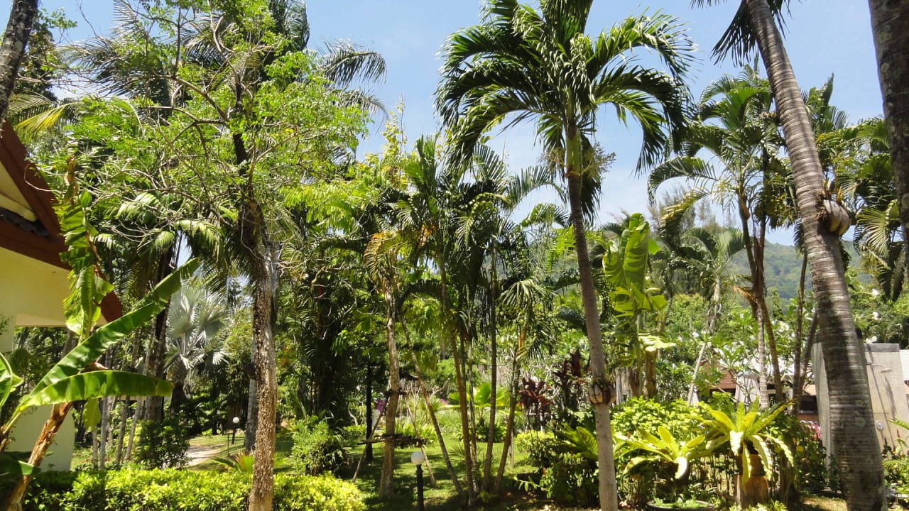 Garten Deevana Patong Resort & Spa