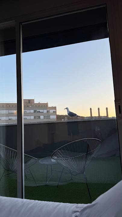 Ausblick Sixties Ramblas