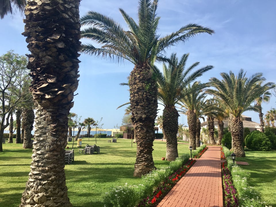 Gartenanlage TUI Magic Life Belek