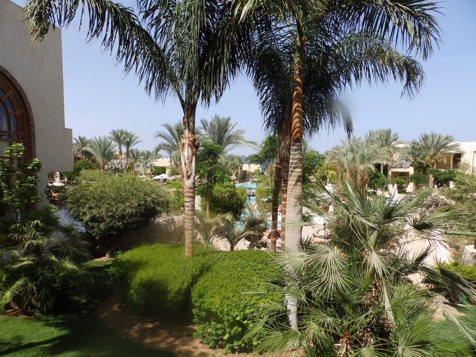 Garten The Grand Hotel Sharm El Sheikh
