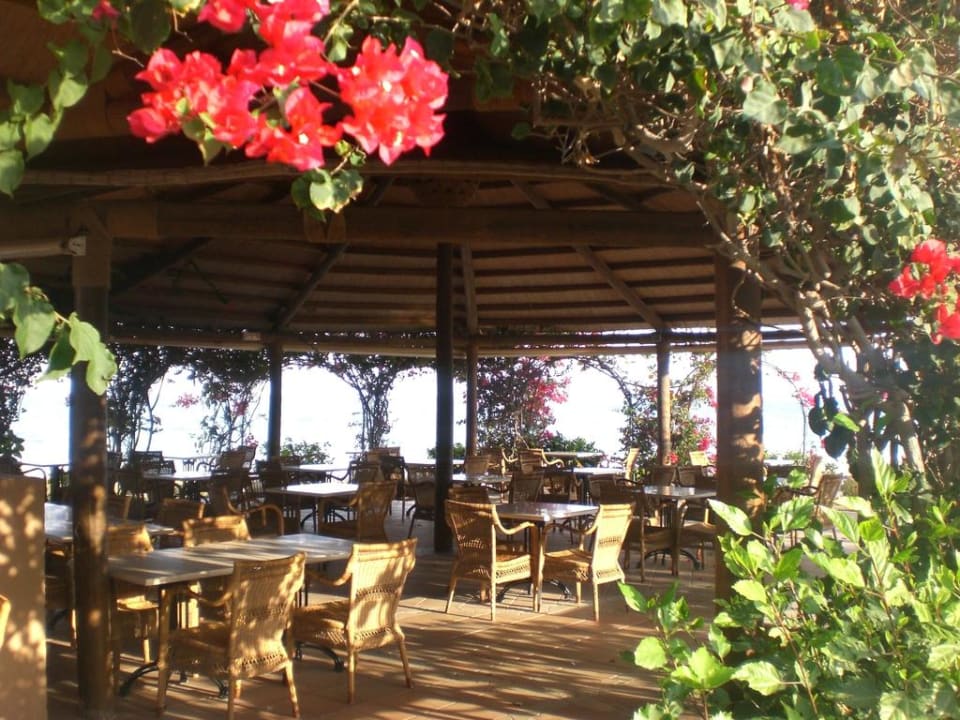 Strandbar im Blütenmeer mit Atlantik Blick SBH Hotel Taro Beach