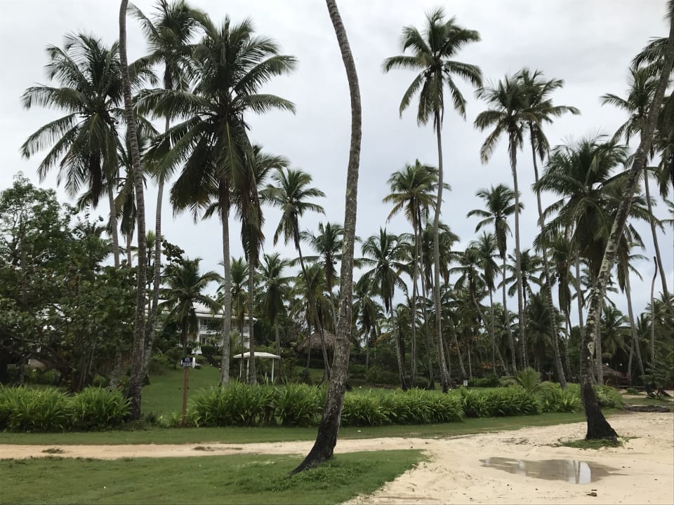 Strand Wyndham Alltra Samana