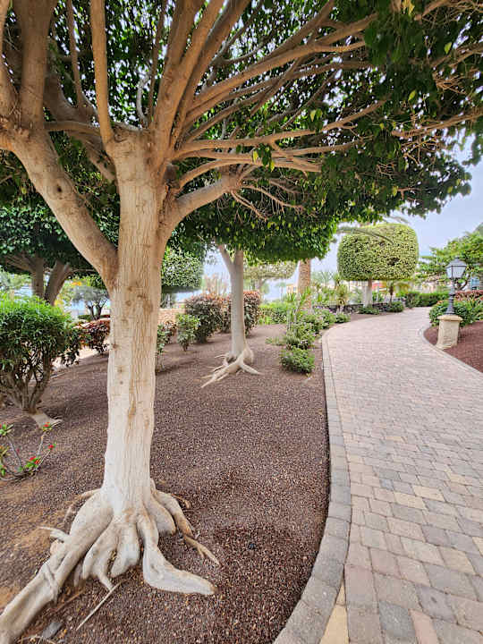 Gartenanlage R2 Rio Calma Hotel & Spa & Conference