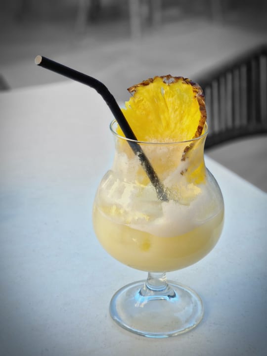 Gastro Cactus Beach