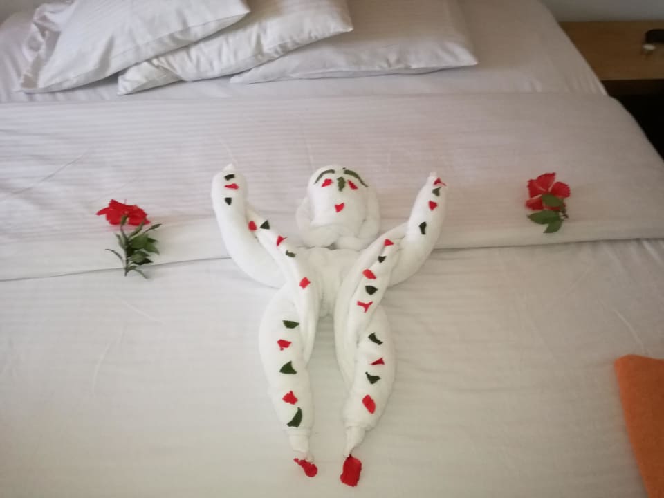 Sehr kreativ! Ghazala Beach