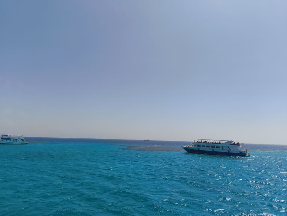 Strand Sea Star Beau Rivage