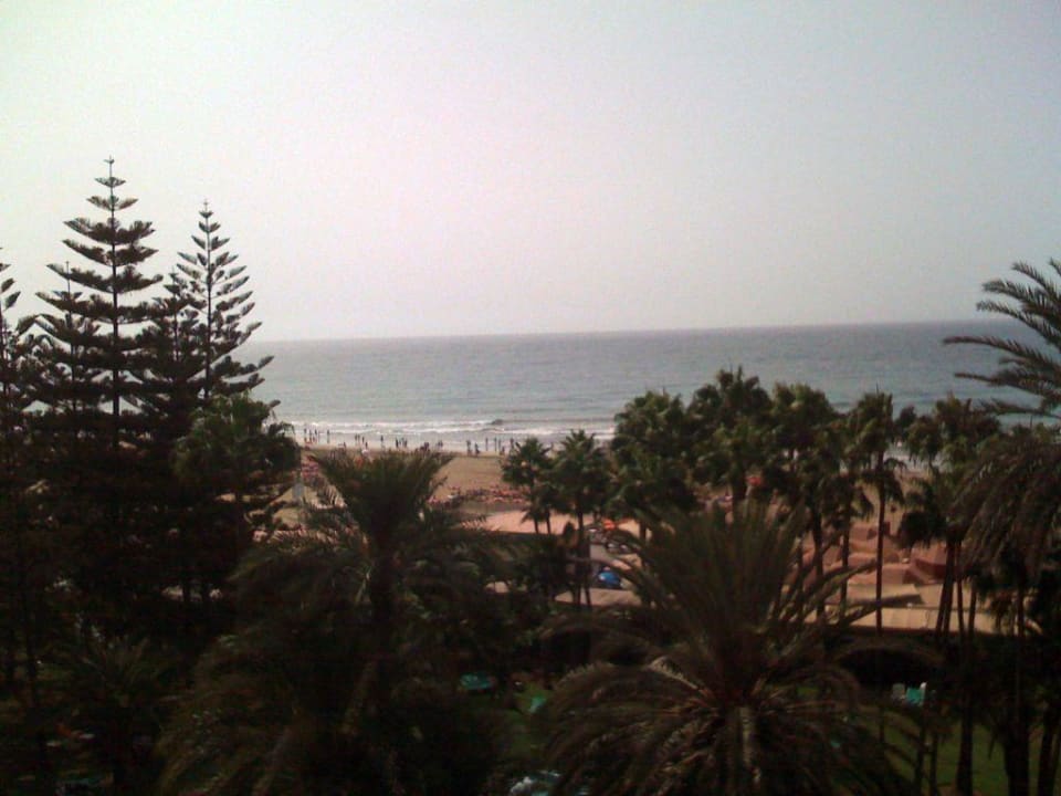 Blick von der Dachterrasse Hotel Riu Palace Oasis