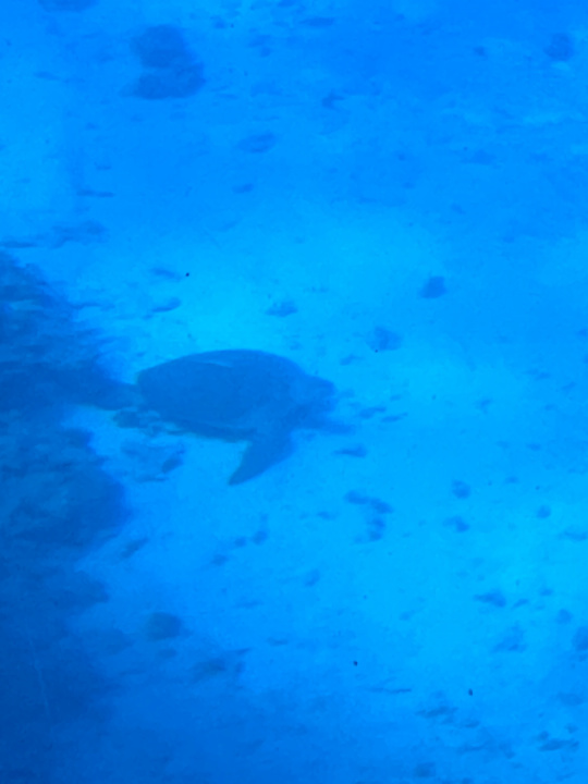 Strand Cleopatra Luxury Resort Makadi Bay