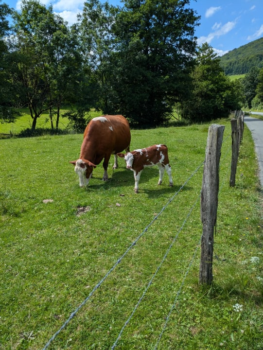 Ausblick Sauerland Alpin Hotel