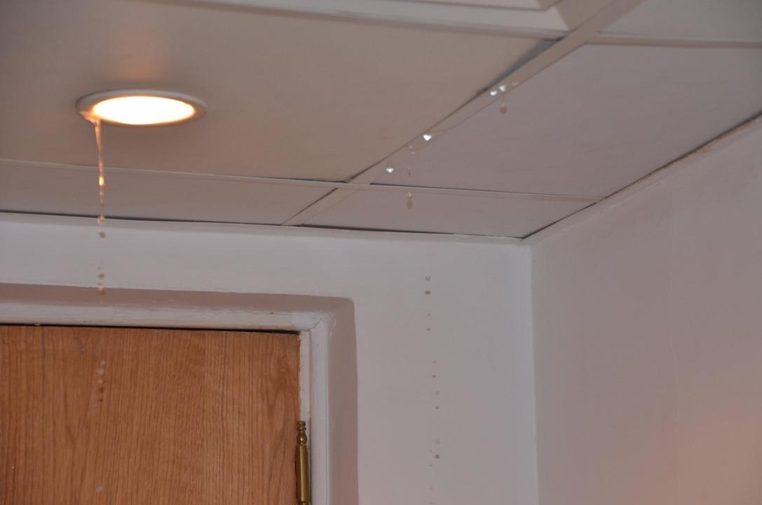 Ist dies ein schöner Urlaub?  Beach Albatros Resort