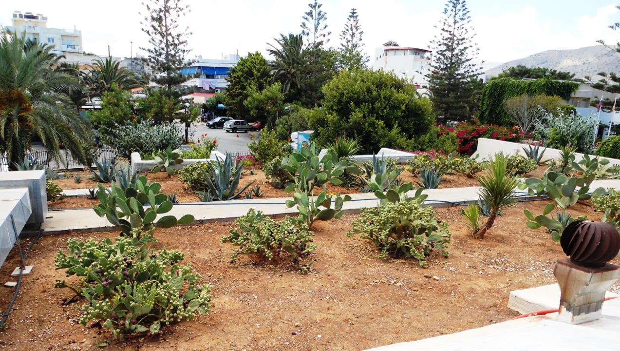 Roofgarden Santa Marina Beach