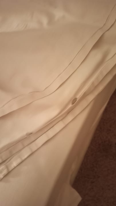 Zimmer Hotel Sineva Beach