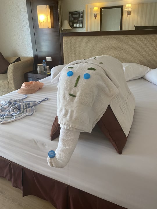 Zimmer Premier Le Reve Hotel & Spa