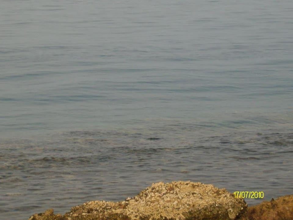 Meer Pickalbatros Citadel Resort