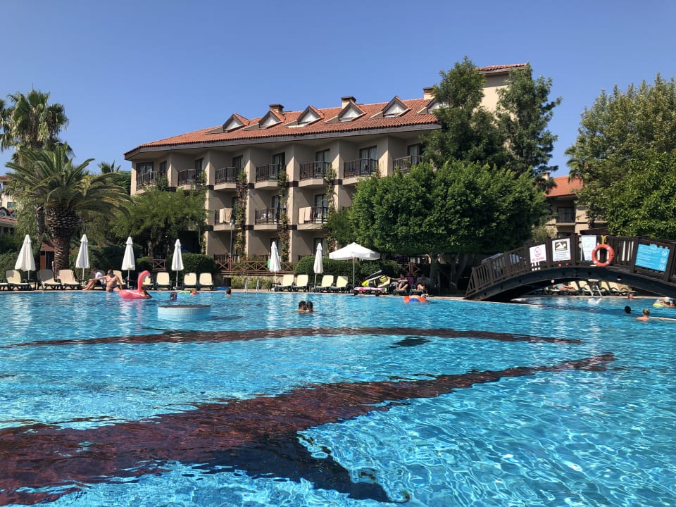 Pool Alba Resort Hotel