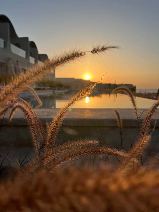 Zimmer SUNRISE Anjum Resort Marsa Alam