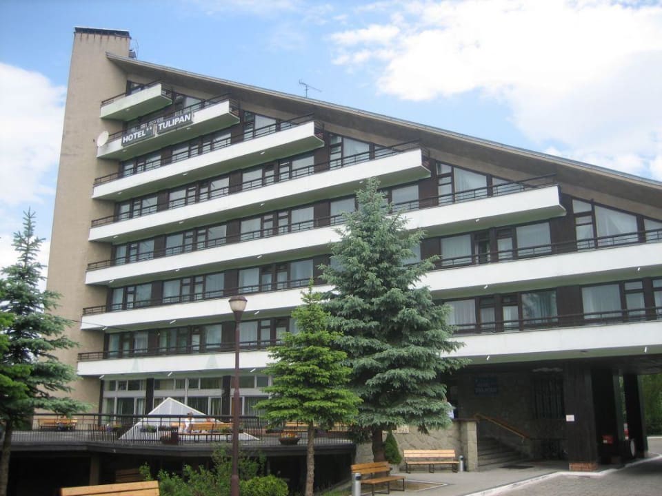 Hotel Tulipan Hotel Tulipan