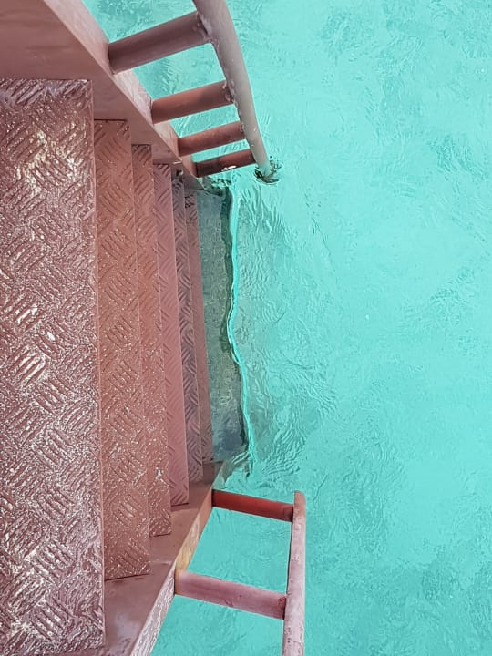 Zimmer NH Collection Maldives Reethi Resort