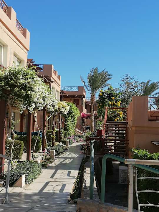 Gartenanlage Shams Prestige Abu Soma-Adults Only