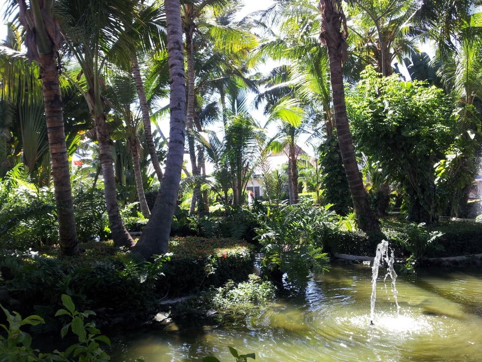 Teich vor der Rezeption Grand Palladium Select Bávaro Resort & Spa