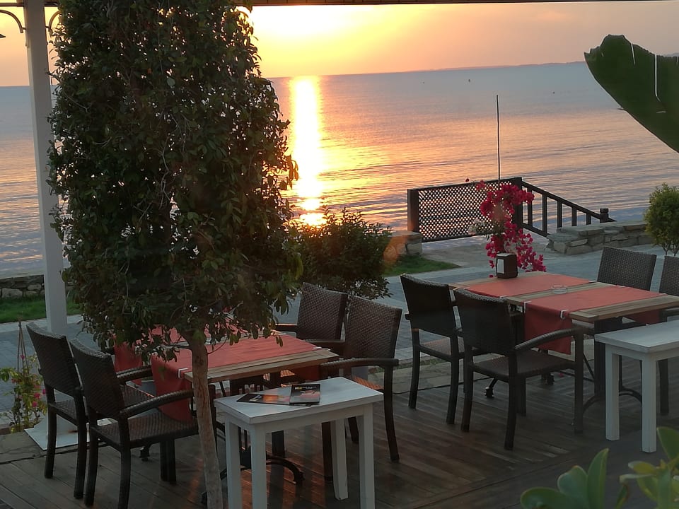 Aus dem Restaurant Hotel Side Beach Club