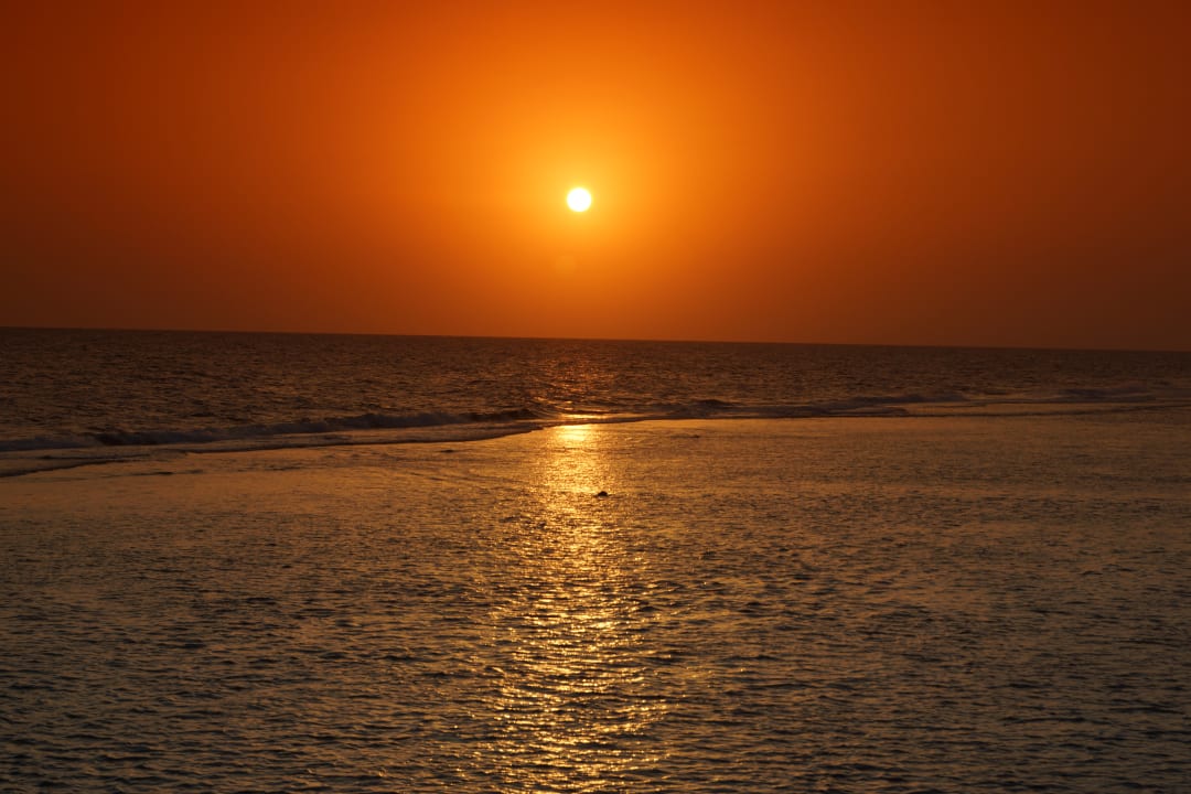 Strand Pickalbatros Sea World Resort - Marsa Alam