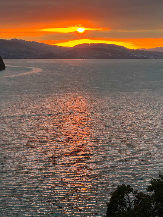 Ausblick See- und Seminarhotel FloraAlpina