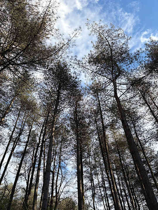 Gartenanlage Vakantiepark Boschbeek