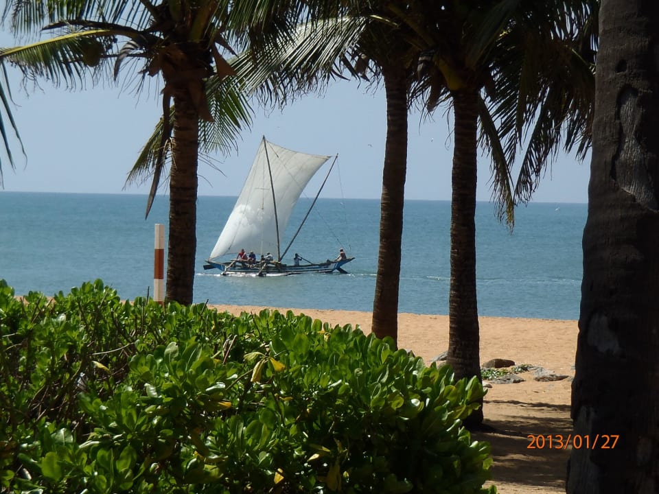 Blick vom einem Meerbungalow  Club Hotel Dolphin