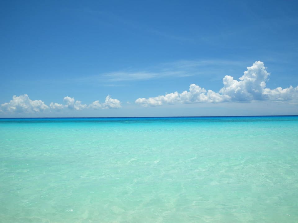 Was für Farben Hotel Riu Tequila