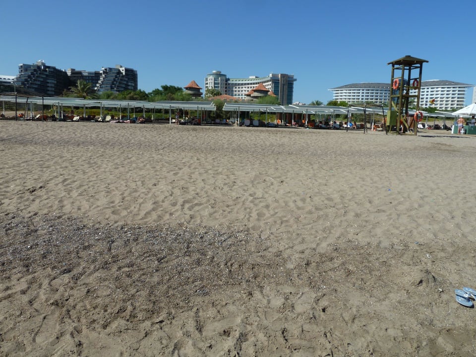 Strand  Sherwood Exclusive Lara