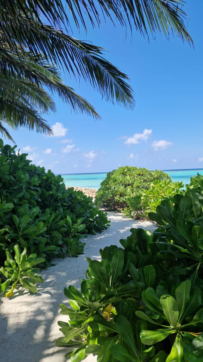 Ausblick Summer Island Maldives