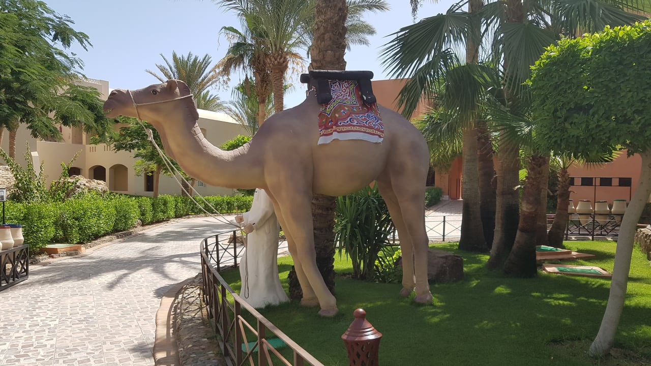 Gartenanlage Jaz Makadi Oasis Resort