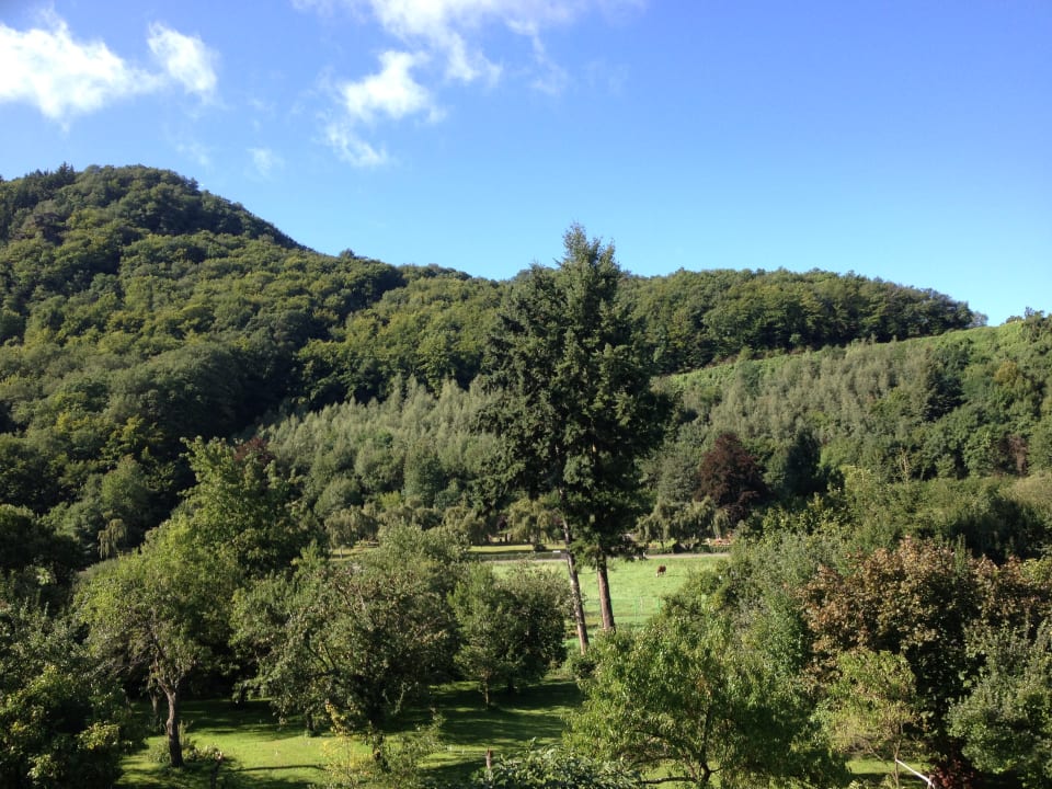 Ausblick Weinhaus Pension Cafe zur Mühle