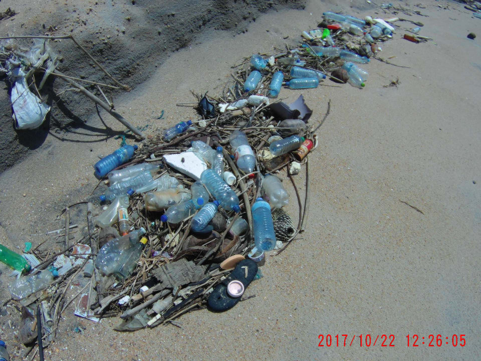 Strand Club Palm Bay