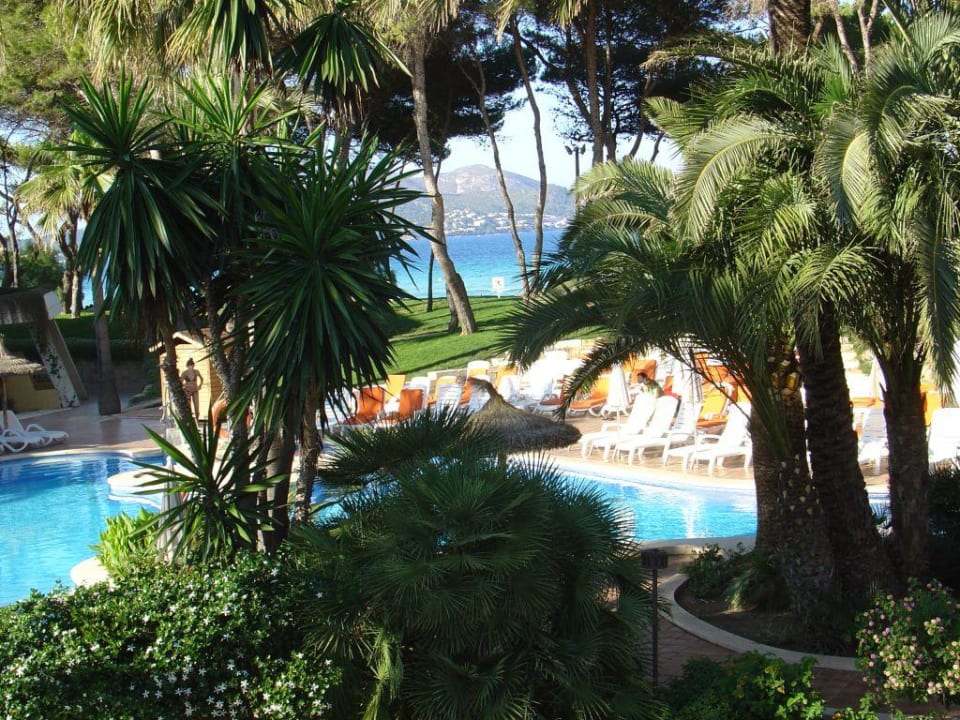 Pool und Garten, Meer Iberostar Waves Playa de Muro