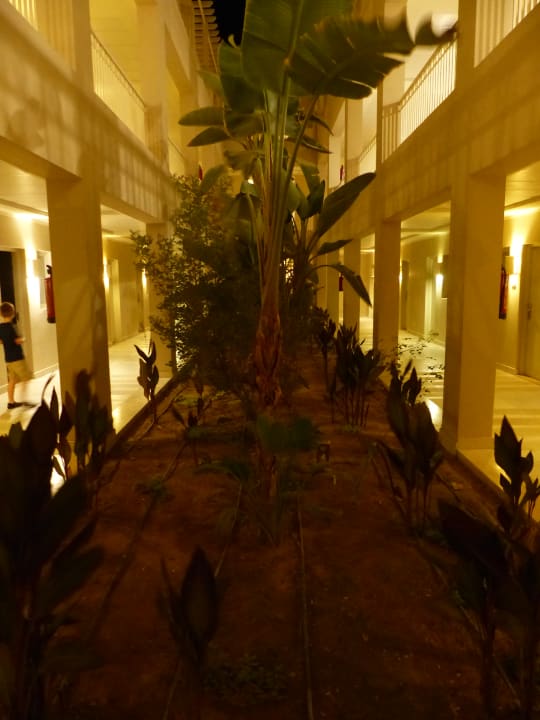 Sonstiges Jaz Aquaviva