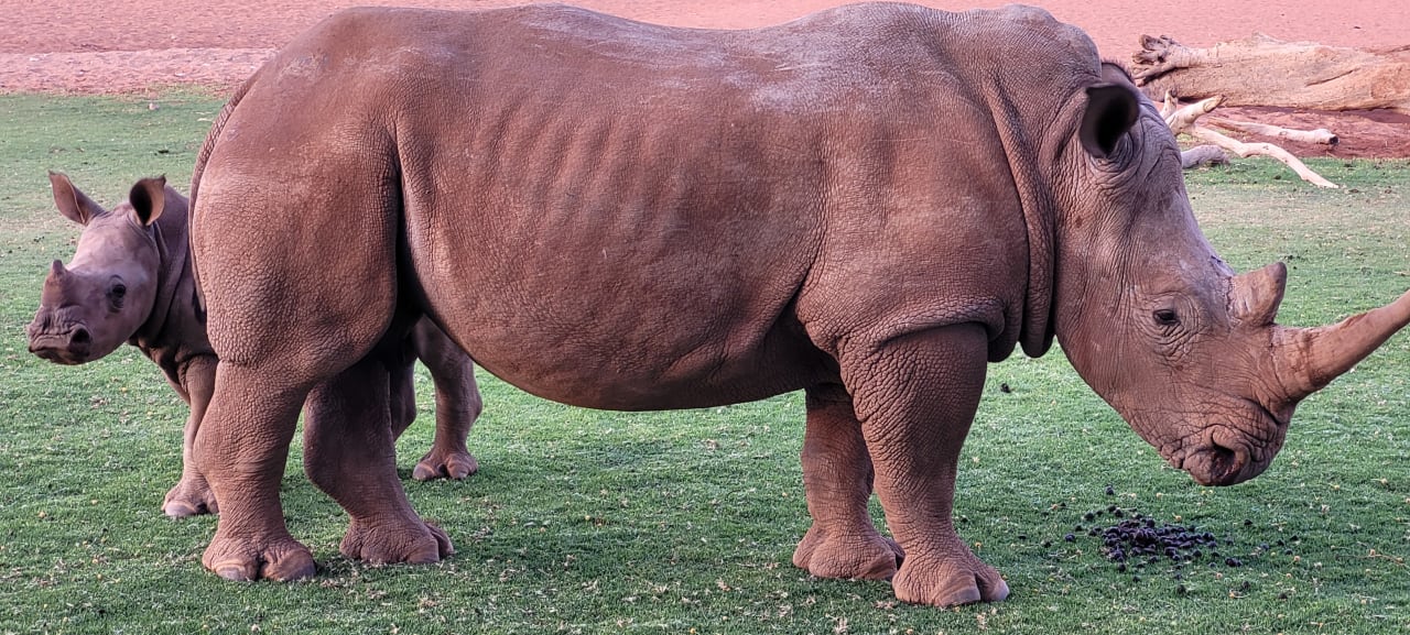 Sport & Freizeit We Kebi Safari Camp