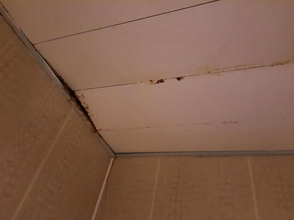 Zimmer Sentido Caribbean World Soma Bay