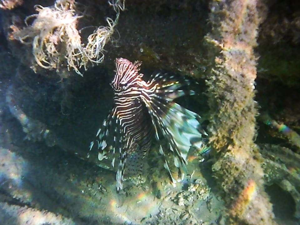 Sport & Freizeit Three Corners Equinox Beach Resort